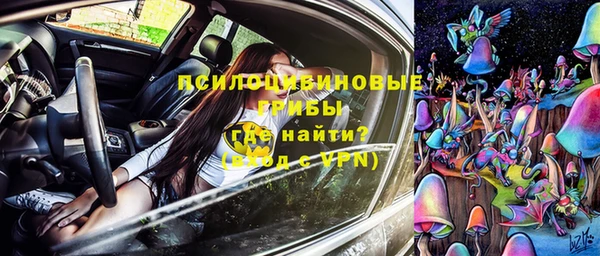 шишки Алексеевка