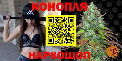 стаф Магадан