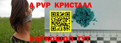 стаф Магадан